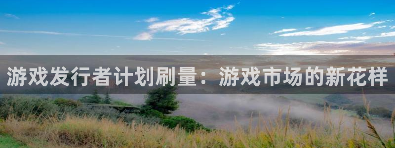 pp电子子图书：游戏发行者计划刷量：游戏市场的新花样