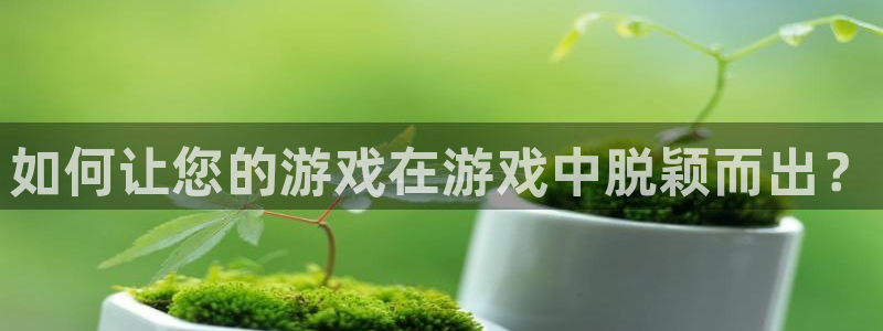 pp电子官网代理注册