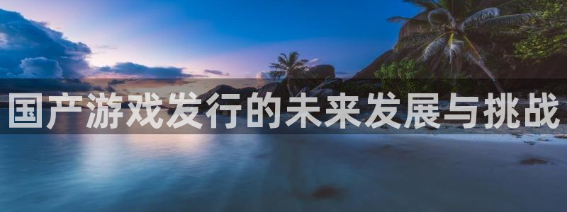 pp电子官网注册平台官网：国产游戏发行的未来发展与挑战