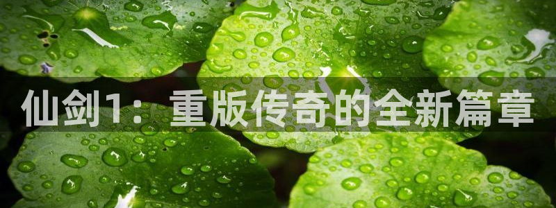 pp电子官网登录注册账号：仙剑1：重版传奇的全新篇章