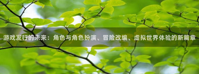 pp电子子年度最佳图书：游戏发行的未来：角色与角色扮演、冒险改编、虚拟世界体验的新篇章