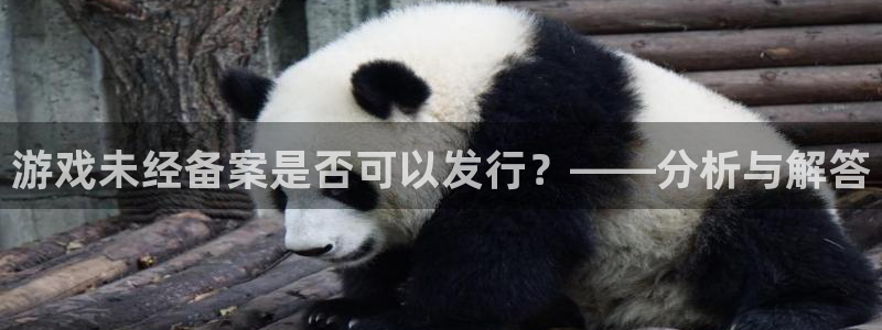 pp电子子公司怎么样知乎