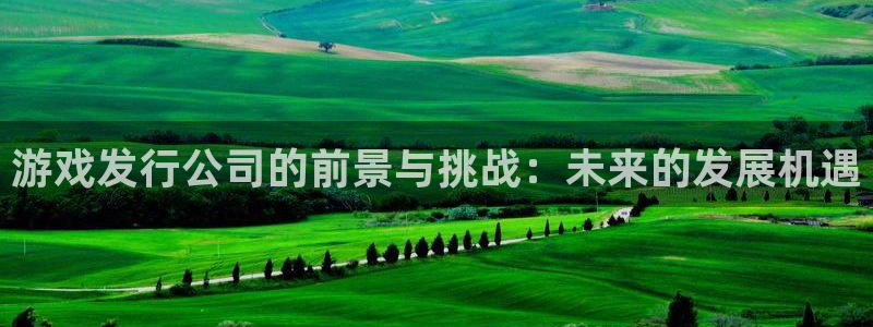 pp电子品牌顾问有限公司