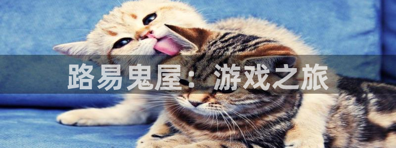 pp电子平台：路易鬼屋：游戏之旅