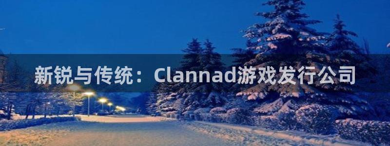 pp电子是什么品牌：新锐与传统：Clannad游戏发行公司