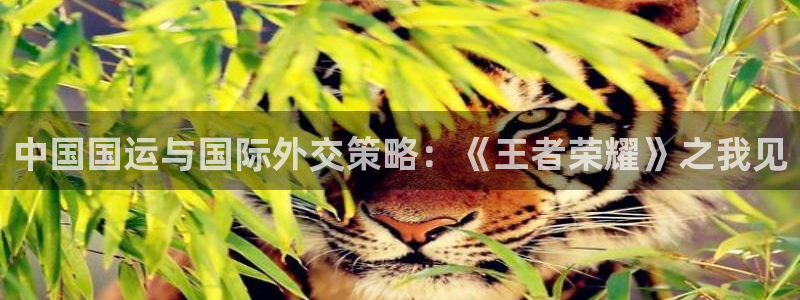 pp电子技术有限公司招聘：中国国运与国际外交策略：《王者荣耀》之我见