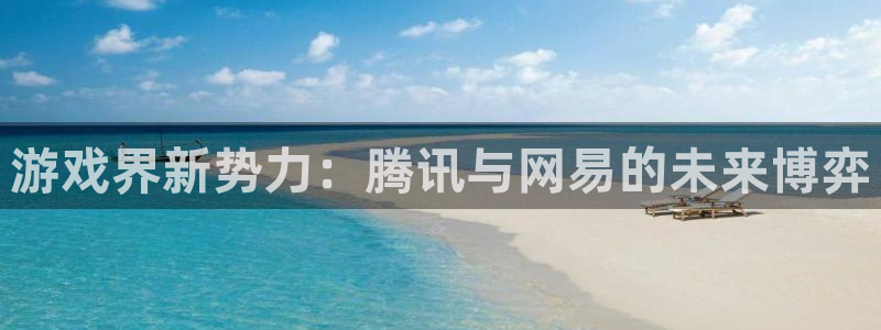 pp电子电子商务有限公司怎么样啊