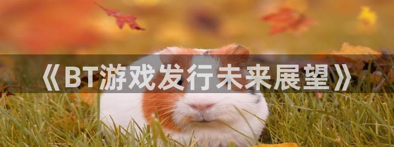 pp电子电子商务：《BT游戏发行未来展望》