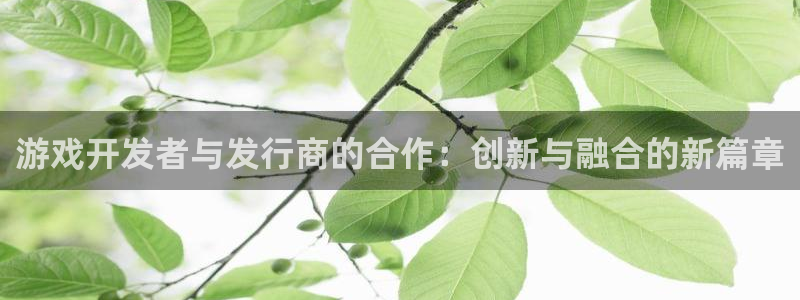 pp电子科技有限公司：游戏开发者与发行商的合作：创新与融合的新篇章