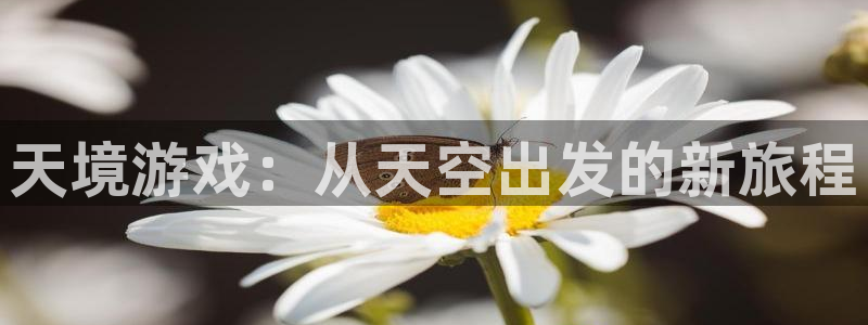 江苏pp电子智得新材料：天境游戏：从天空出发的新旅程