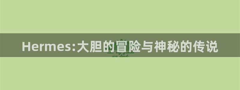 pp电子装饰