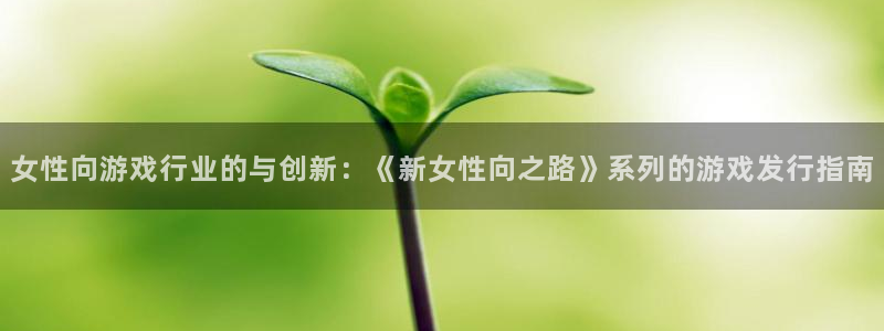 陕西pp电子子文化创意有限公司有什么游戏：女性向游戏行业的与创新：《新女性向之路》系列的游戏发行指南