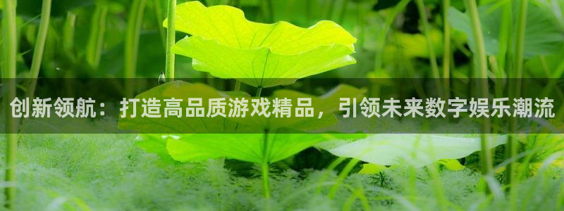 苏州pp电子网络科技有限公司：创新领航：打造高品质游戏精品，引领未来数字娱乐潮流