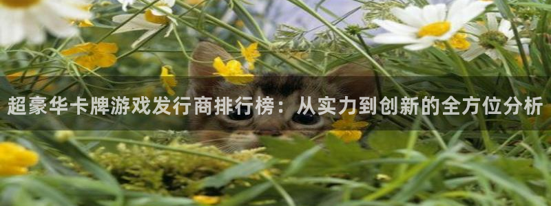 广东pp电子电子商务有限公司电话：超豪华卡牌游戏发行商排行榜：从实力到创新的全方位分析