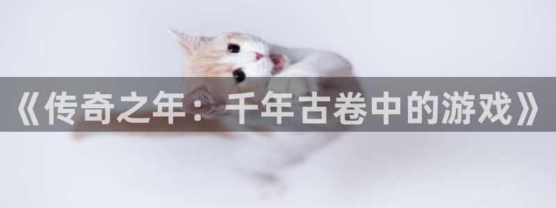 pp电子官网客服服务怎么样：《传奇之年：千年古卷中的游戏》