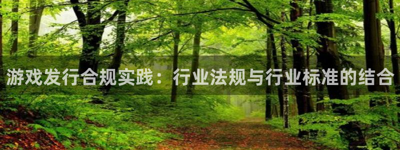 广州pp电子网络科技有限公司怎么样