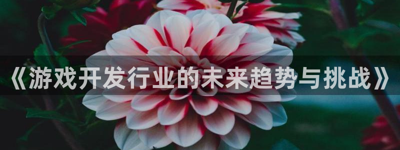 pp电子是哪个国家的衣服品牌