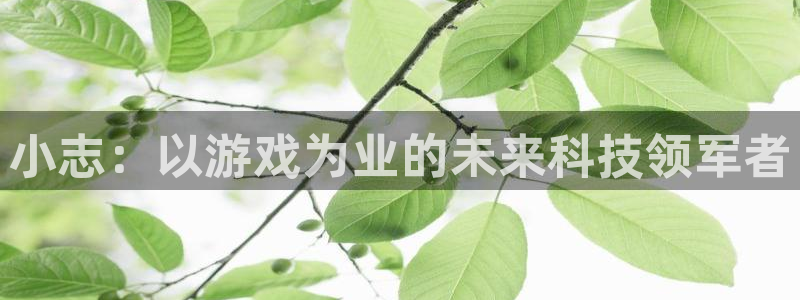 pp电子酒庄：小志：以游戏为业的未来科技领军者