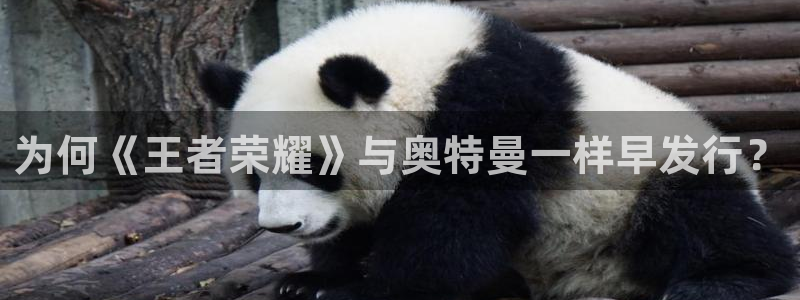 pp电子品牌策划